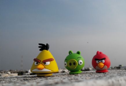 कॉंग्रेसचे भवितव्य...