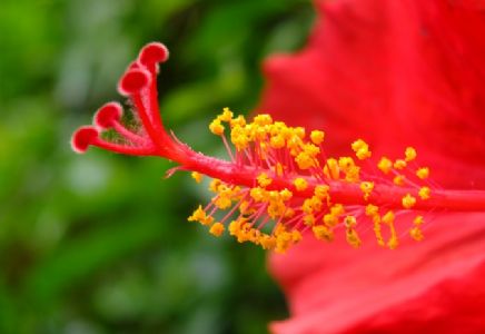 देण्यासारखे काहीतरी...