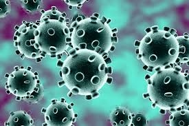 Corona Virus_1&nbsp;&nbsp;